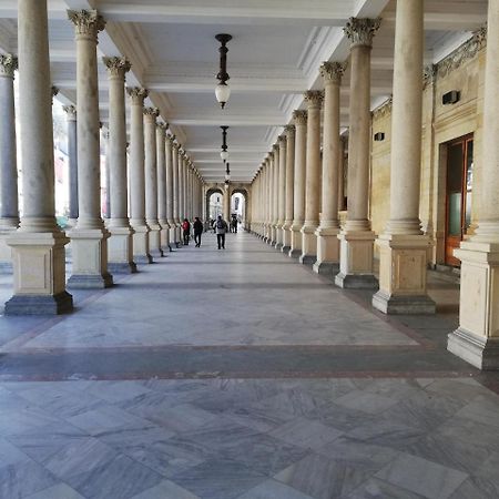 Apartment In City Center - Morassi Karlovy Vary Dış mekan fotoğraf